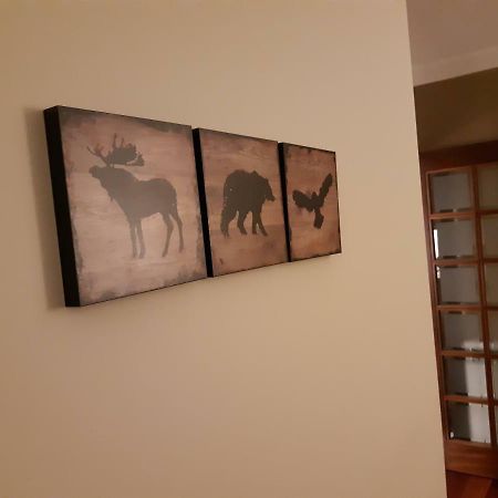 My Home In Oporto Мая Экстерьер фото